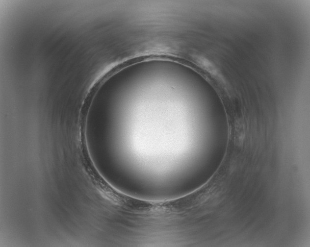 X0000063511316200601201428