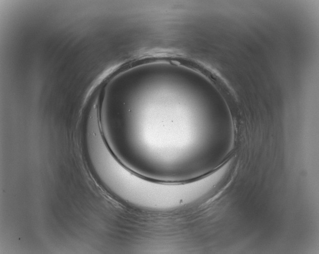 X0000063511317200601201428