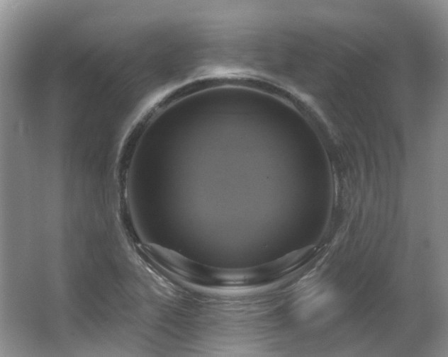 X0000063511319200601201428