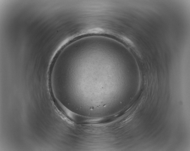 X0000063511326200601201429
