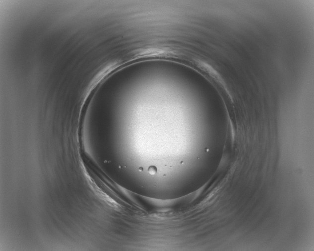 X0000063511330200601201429