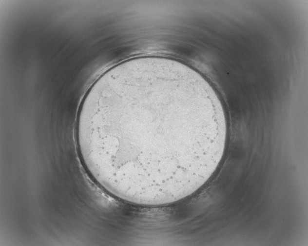 X0000063511338200601201429