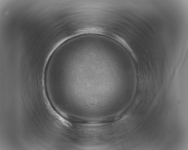 X0000063511339200601201429