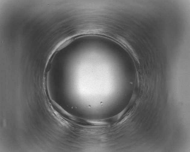 X0000063511340200601201429