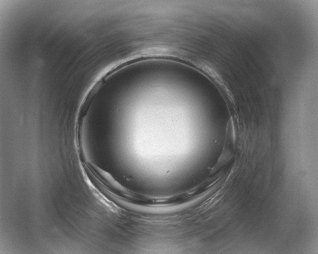 X0000063511342200601201429