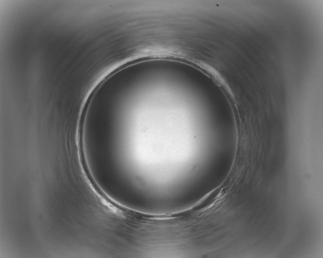 X0000063511343200601201429