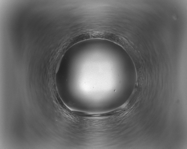 X0000063511345200601201428