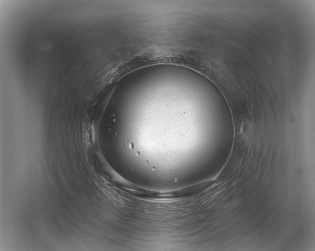 X0000063511348200601201428