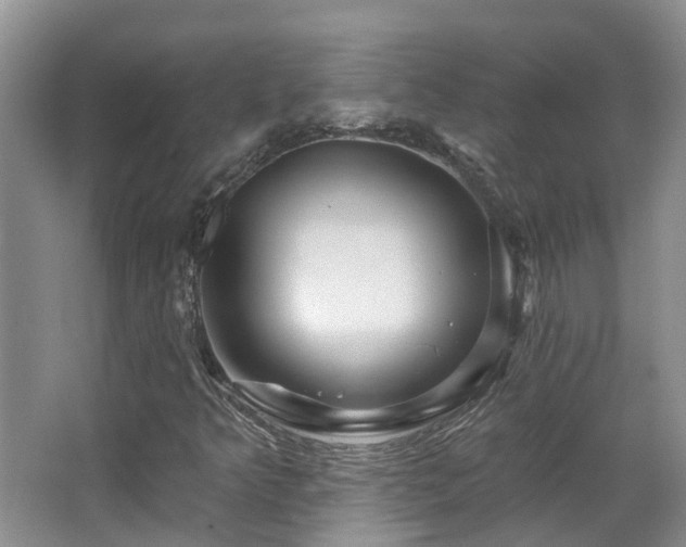 X0000063511349200601201428
