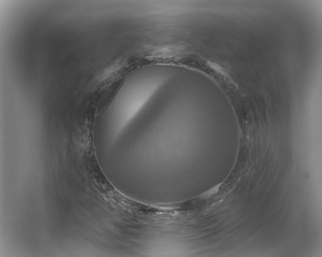 X0000063511350200601201428