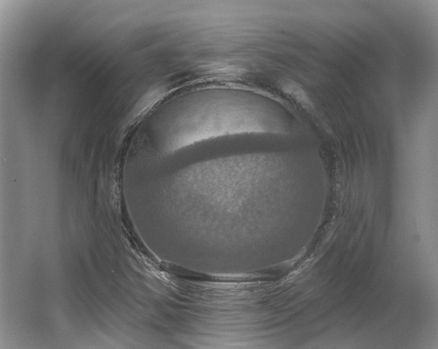 X0000063511354200601201428