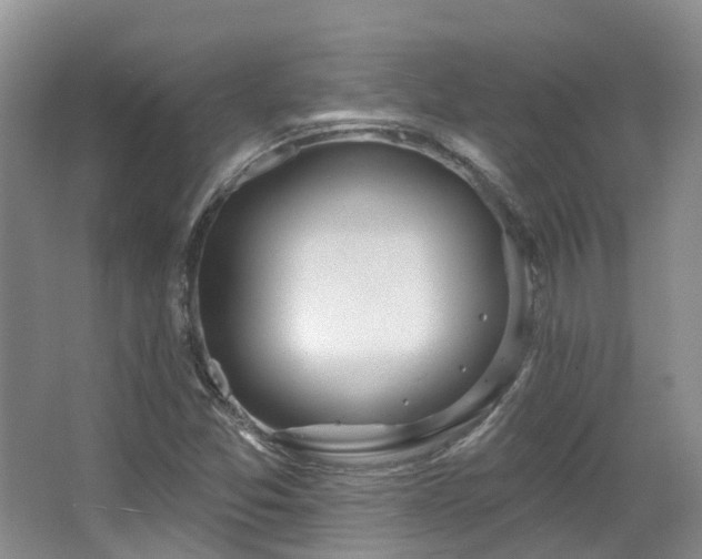 X0000063511357200601201428
