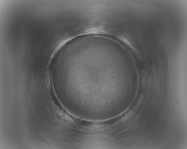X0000063511358200601201428