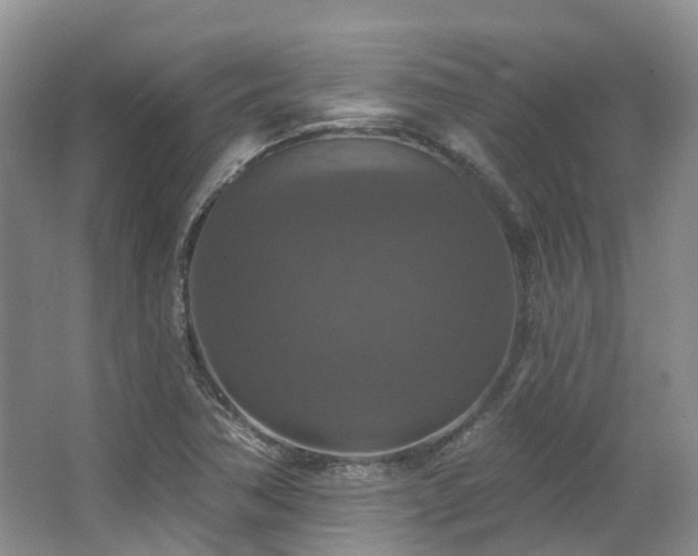 X0000063511362200601201428