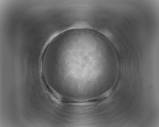 X0000063511366200601201428