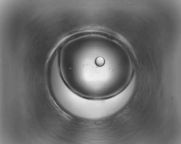 X0000063511368200601201428