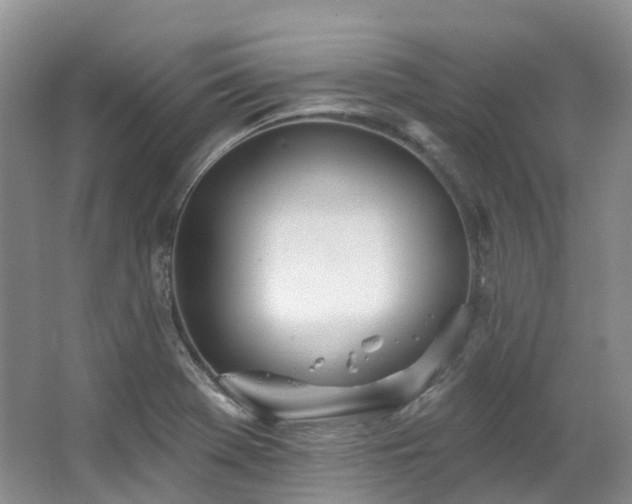 X0000063511369200601201428