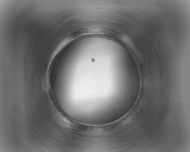 X0000063511370200601201428