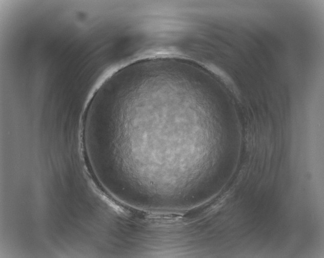 X0000063511374200601201427