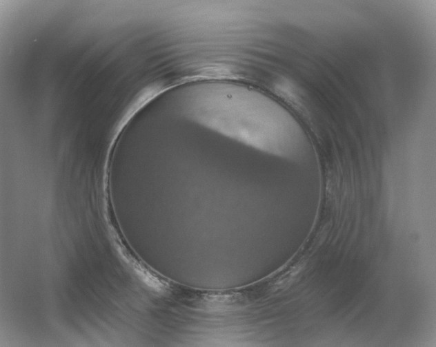 X0000063511378200601201427