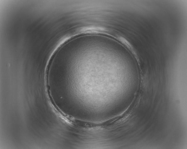 X0000063511384200601201427