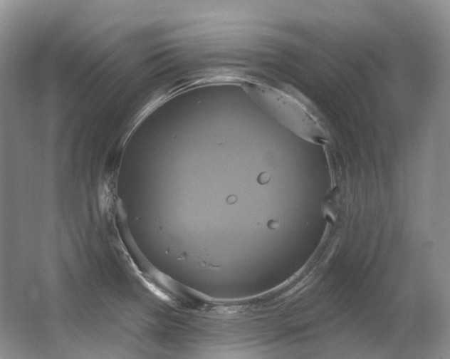 X0000063511385200601201427