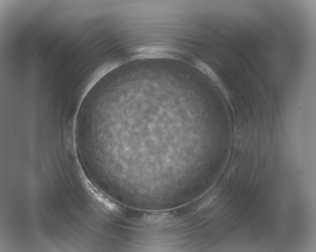 X0000063511386200601201427