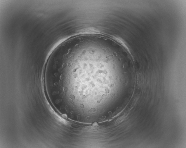 X0000063511387200601201427