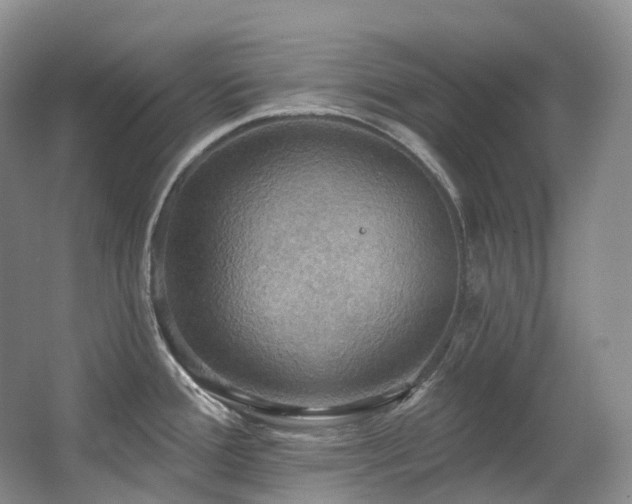 X0000063511388200601201427
