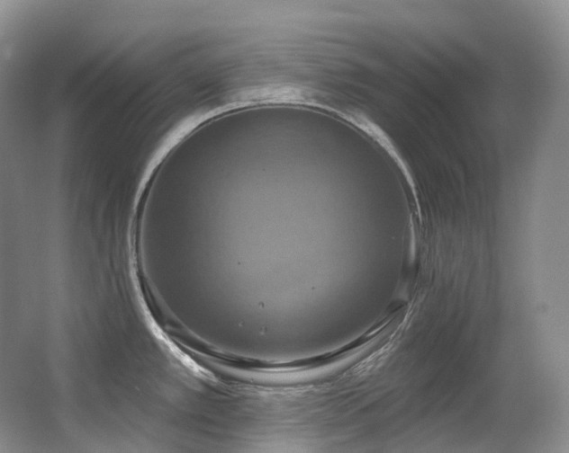 X0000063511389200601201427