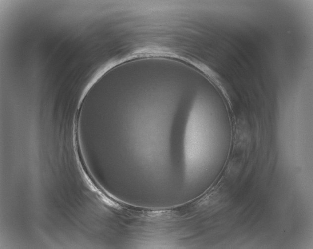 X0000063511390200601201427