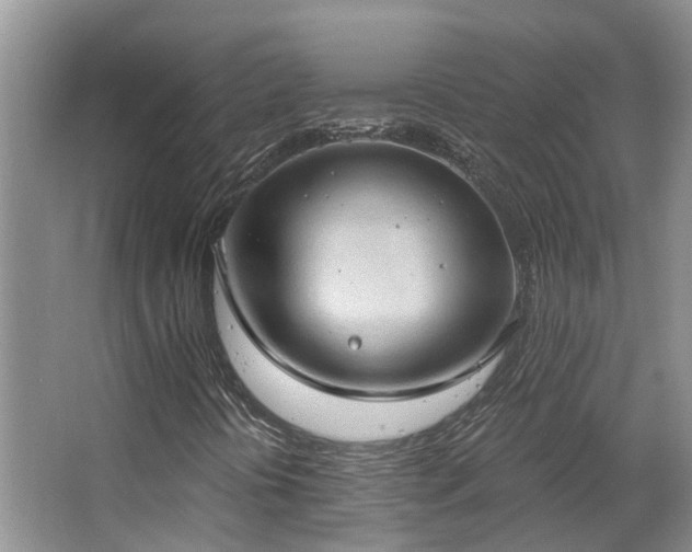 X0000063511394200601201426