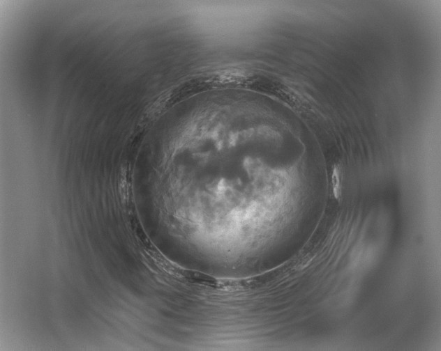 X0000063511395200601201426