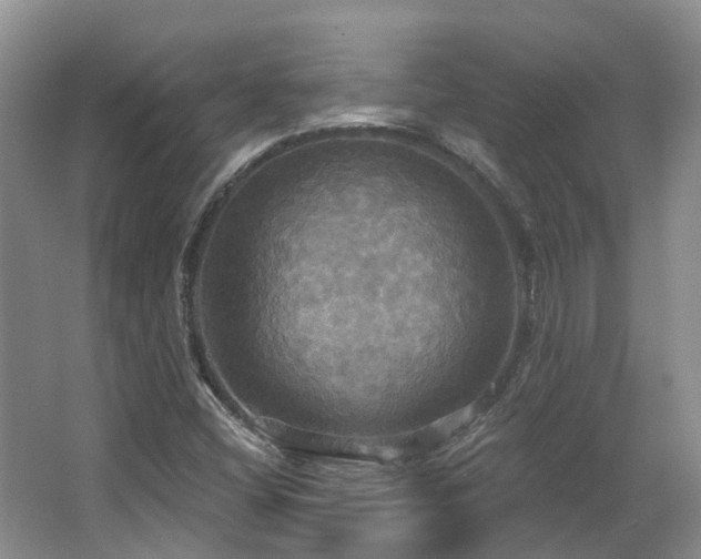 X0000063511404200601201427