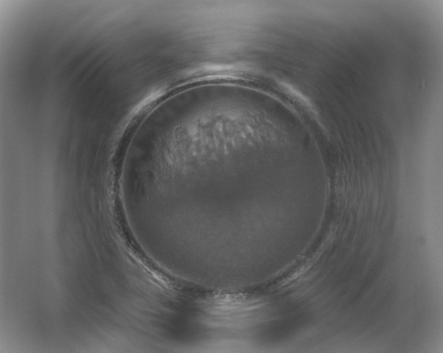 X0000063511411200601201427