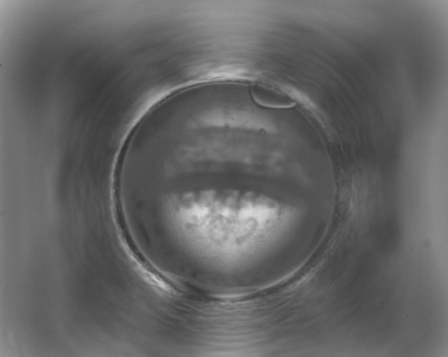 X0000063511423200601201427