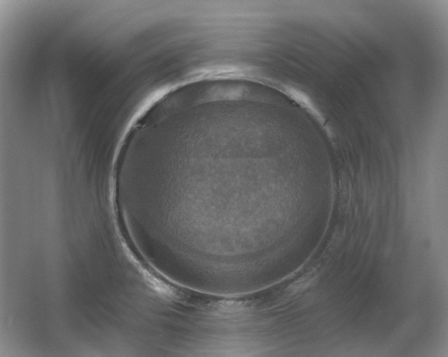 X0000063511424200601201427