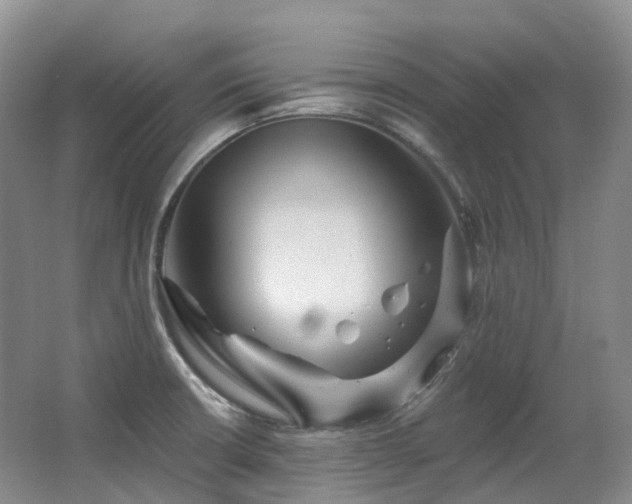 X0000063511426200601201427