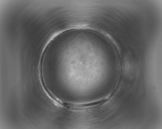 X0000063511432200601201427
