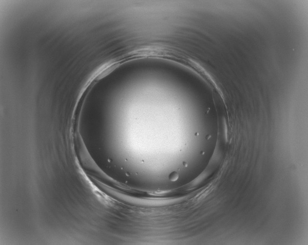 X0000063511434200601201427