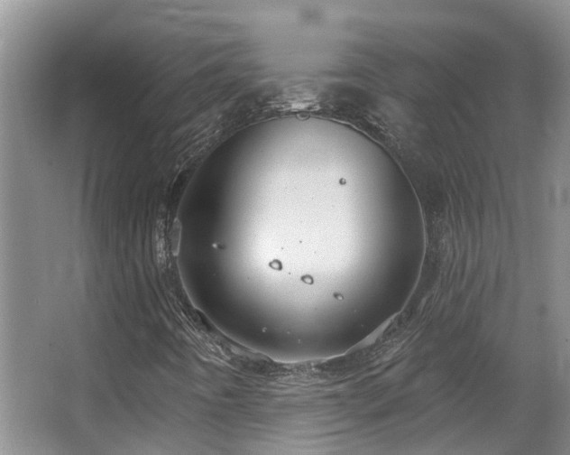 X0000063511442200601201426
