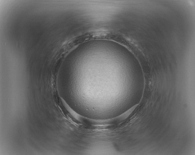 X0000063511445200601201426