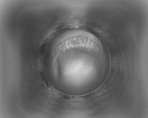 X0000063511446200601201426