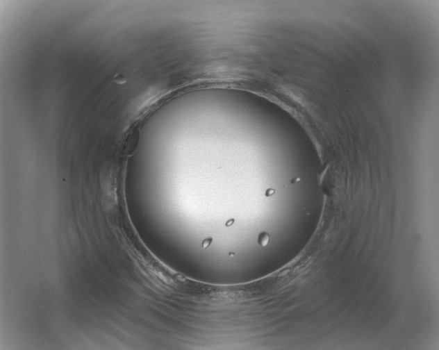 X0000063511451200601201426