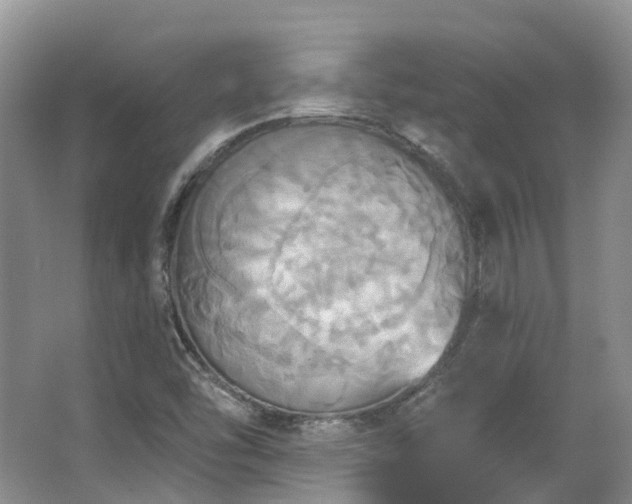 X0000063511454200601201426