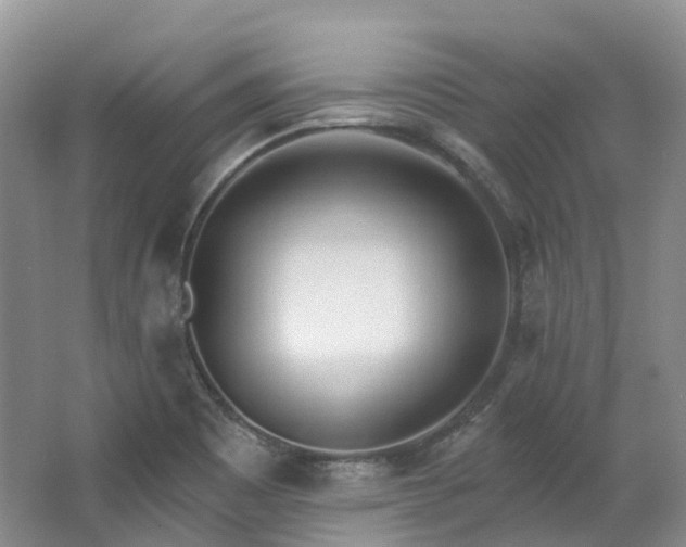 X0000063511465200601201426