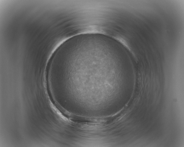 X0000063511468200601201426