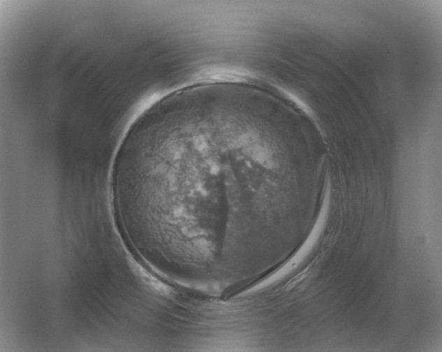 X0000063511471200601201426