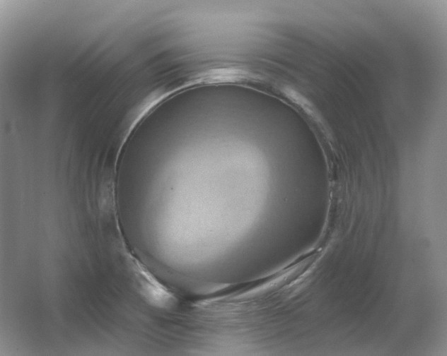 X0000063511473200601201426