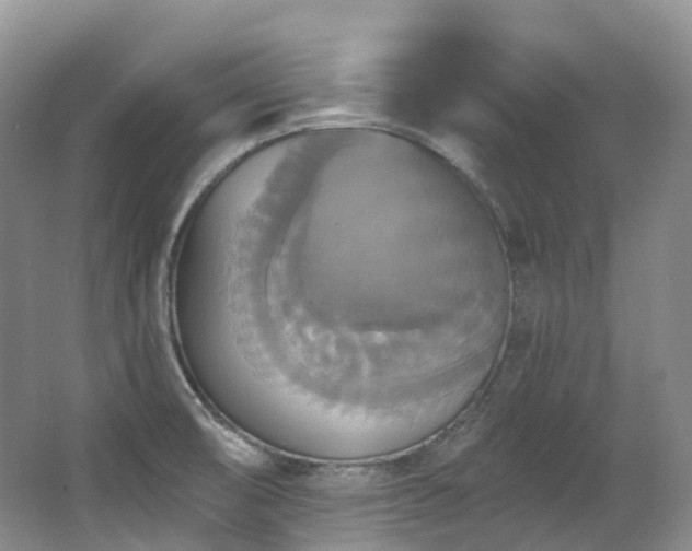 X0000063511474200601201426